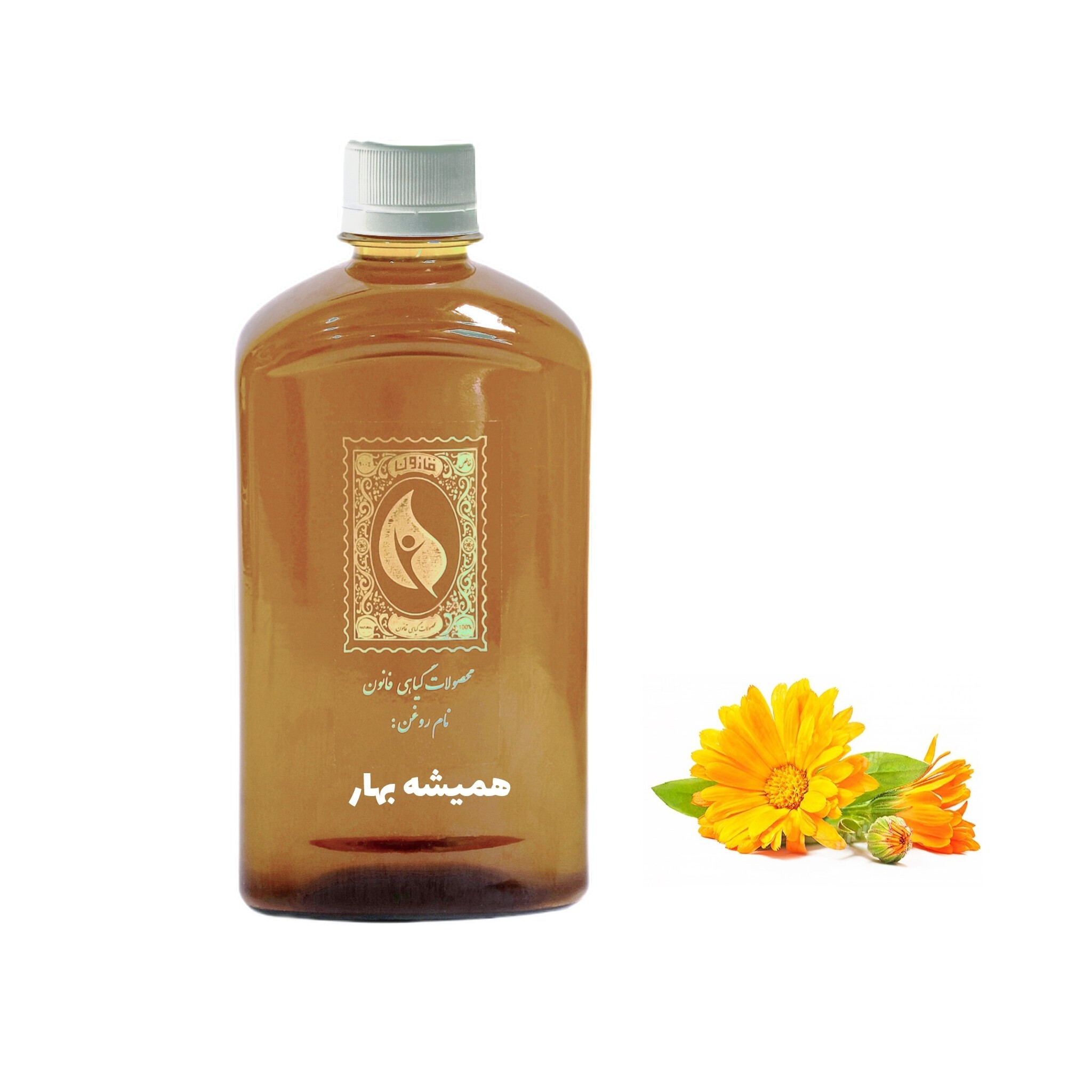 روغن همیشه بهار قانون - حجم 240 میلی لیتر
