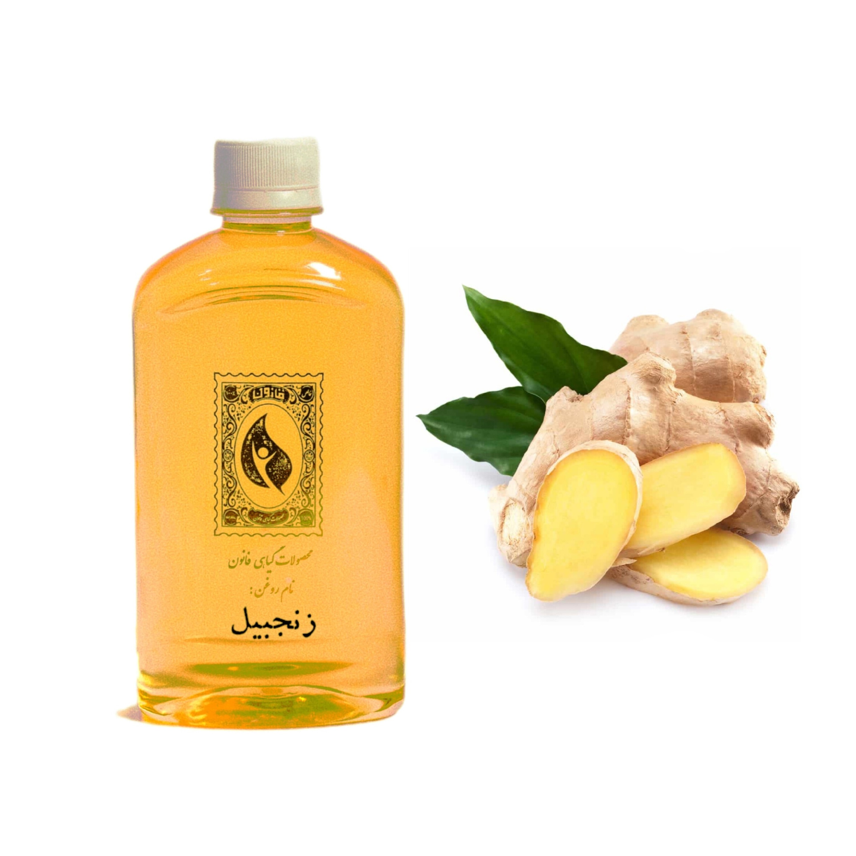 روغن زنجبیل قانون - حجم 240 میلی لیتر