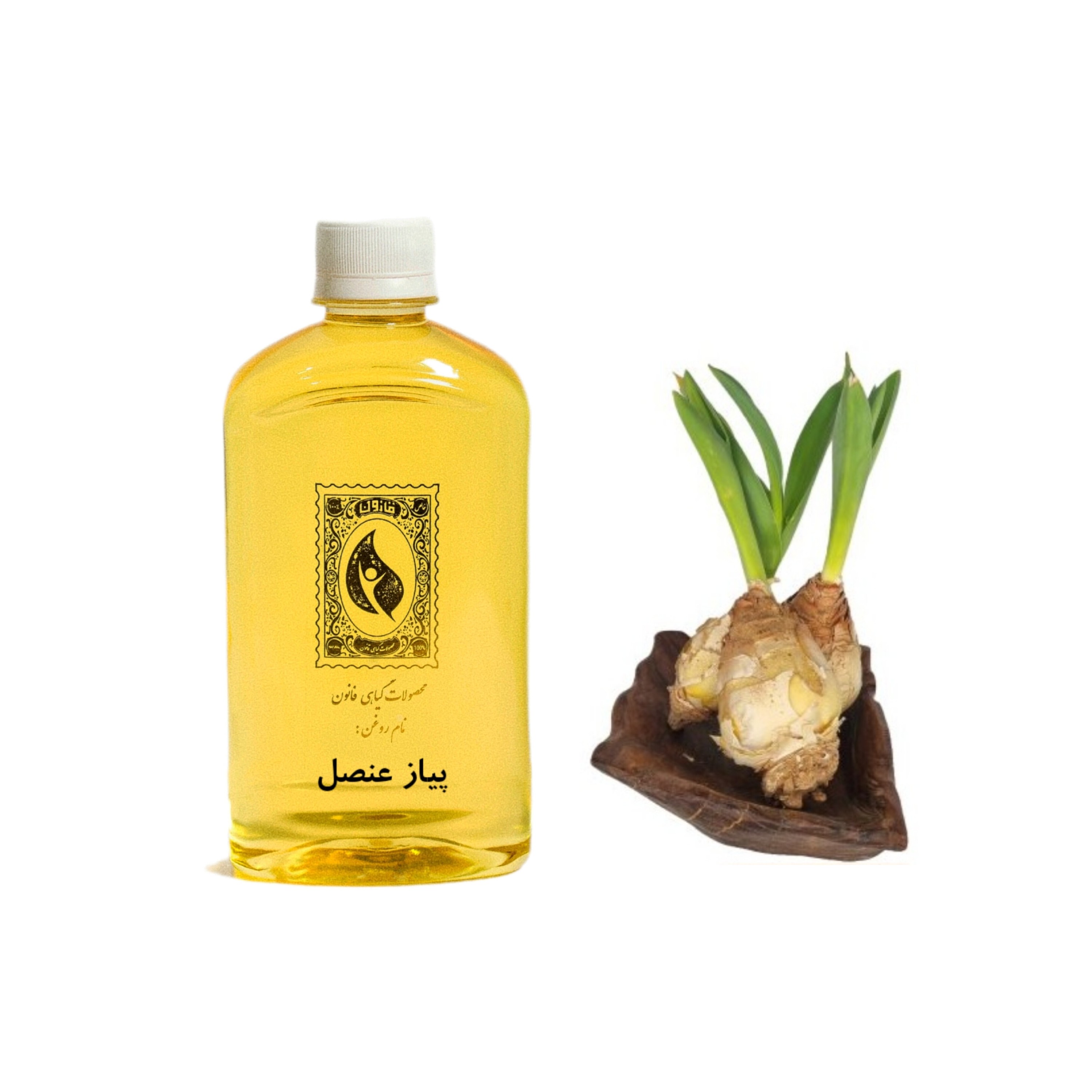روغن پیاز عنصل قانون - حجم 240 میلی لیتر