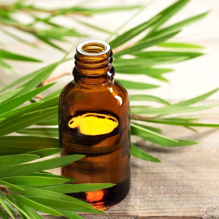 روغن درخت چای درجه یک (120 سی سی)