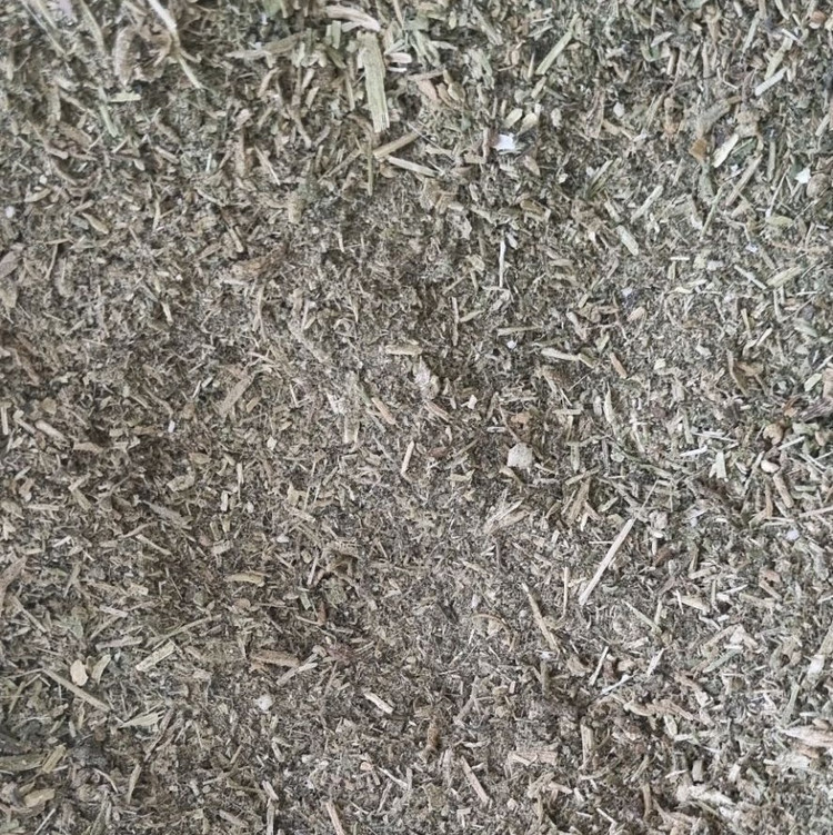 گیاه براهمی ( آب بشقابی - آب قاشقی - سنتلا آسیتکا )