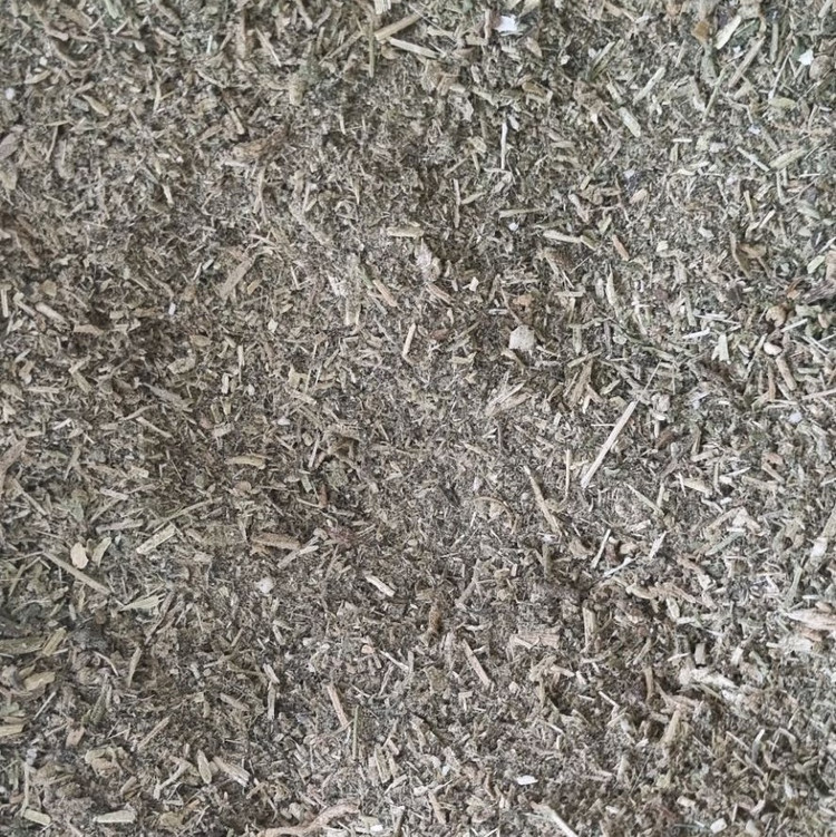 گیاه براهمی ( آب بشقابی - آب قاشقی - سنتلا آسیتکا )