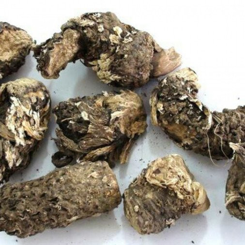 روغن کندش قانون (30 میلی لیتری) کندوش